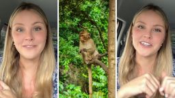 San Diego Woman Who Now Lives In Japan Warns Against Visiting Punch The Monkey. Here’s Why
