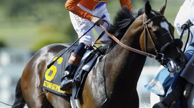 Atswhatimtalknbout horse