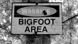 Three ‘Credible’ Bigfoot Sightings Reported On Consecutive Days In Canadian Community