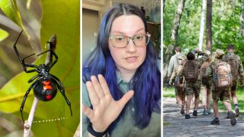 ‘Too Bad the Fatality Rate Is So High’: Boy Scout Leader Takes Troop Camping In Arkansas. Then He Gets Bit By A Spider. It Has Unexpected Consequences