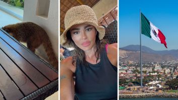 ‘I’m A Little Scared Right Now’: Canadian Woman Travels To Mexico. Then She Films An Unidentified, Furry Animals Approach Her Table