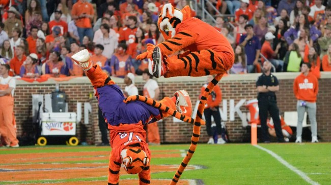 Clemson Mascots Tiger and Cubby
