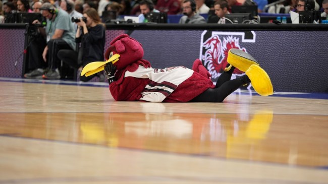 Cocky South Carolina Mascot