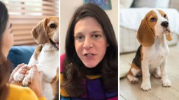 ‘My Conversation With Ned Was Hard For Me’: Dog Medium Talks To Beagle. Then He Tells Her Something Shocking—And Disturbing