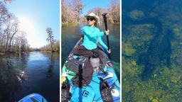 Florida Woman Goes Paddleboarding. Then She Hears A Very Specific Noise From The Water: ‘I Would’ve Froze’