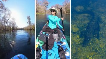 Florida Woman Goes Paddleboarding. Then She Hears A Very Specific Noise From The Water: ‘I Would’ve Froze’