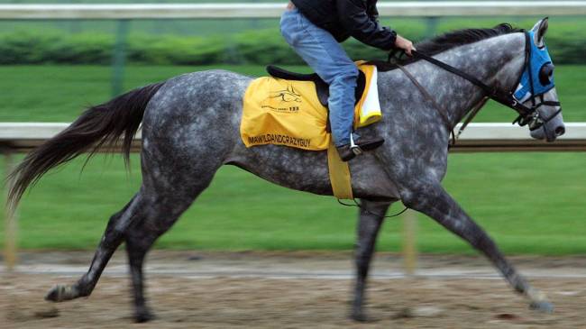 Imawildandcrazyguy at 2007 Kentucky Derby