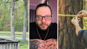 trees in mans front yard (l) man shares tree concern (c) measures suspicious tree in front yard (r)