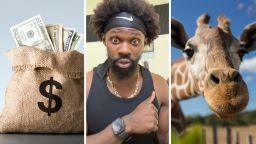 ‘It’s Like Disney World In That Sense’: Man Pays $200 To Go To The ‘New’ Jacksonville Zoo. Then He Realizes He Was Bamboozled