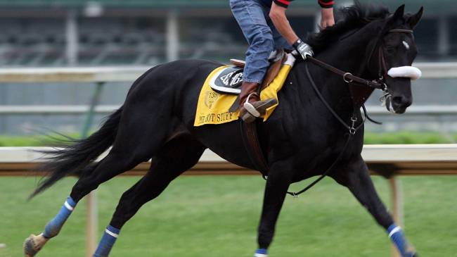 Mr. Hot Stuff at 2009 Kentucky Derby