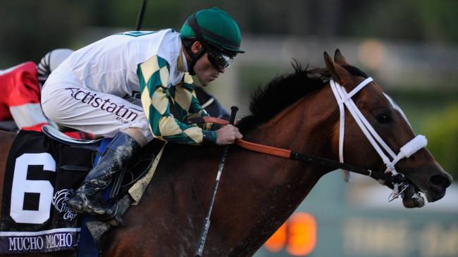 Mucho Macho Man
