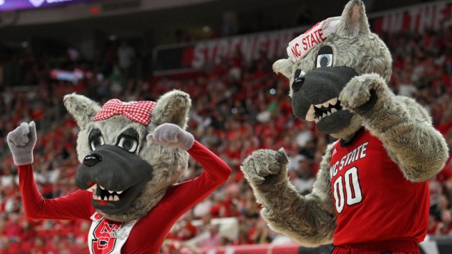 Mr. and Mrs. Wuf NC State Mascots