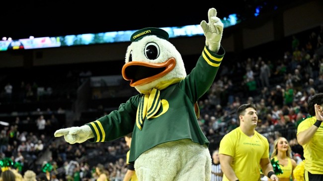 Puddles Oregon Duck
