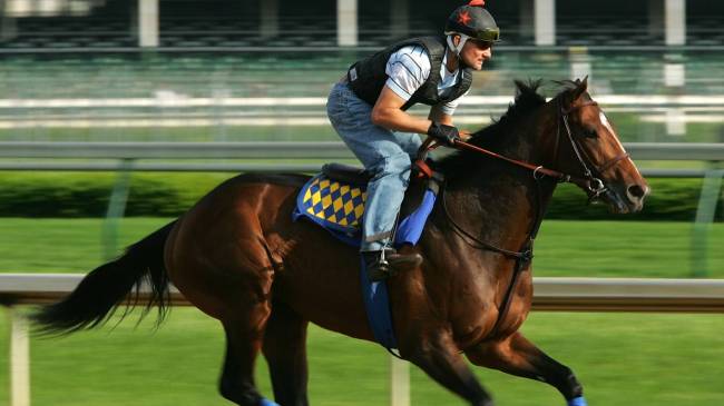 Sinister Minister at 2006 Kentucky Derby