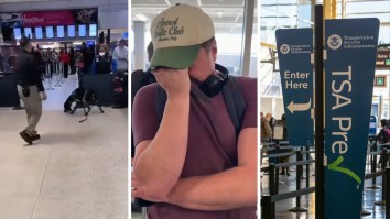 Travelers Are Going Through Airport Security—Then They Spot a TSA Dog That’s Clearly Not Trained Yet