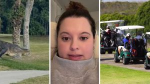 giant alligator (l) woman shares golfing encounter (c) group going golfing (r)