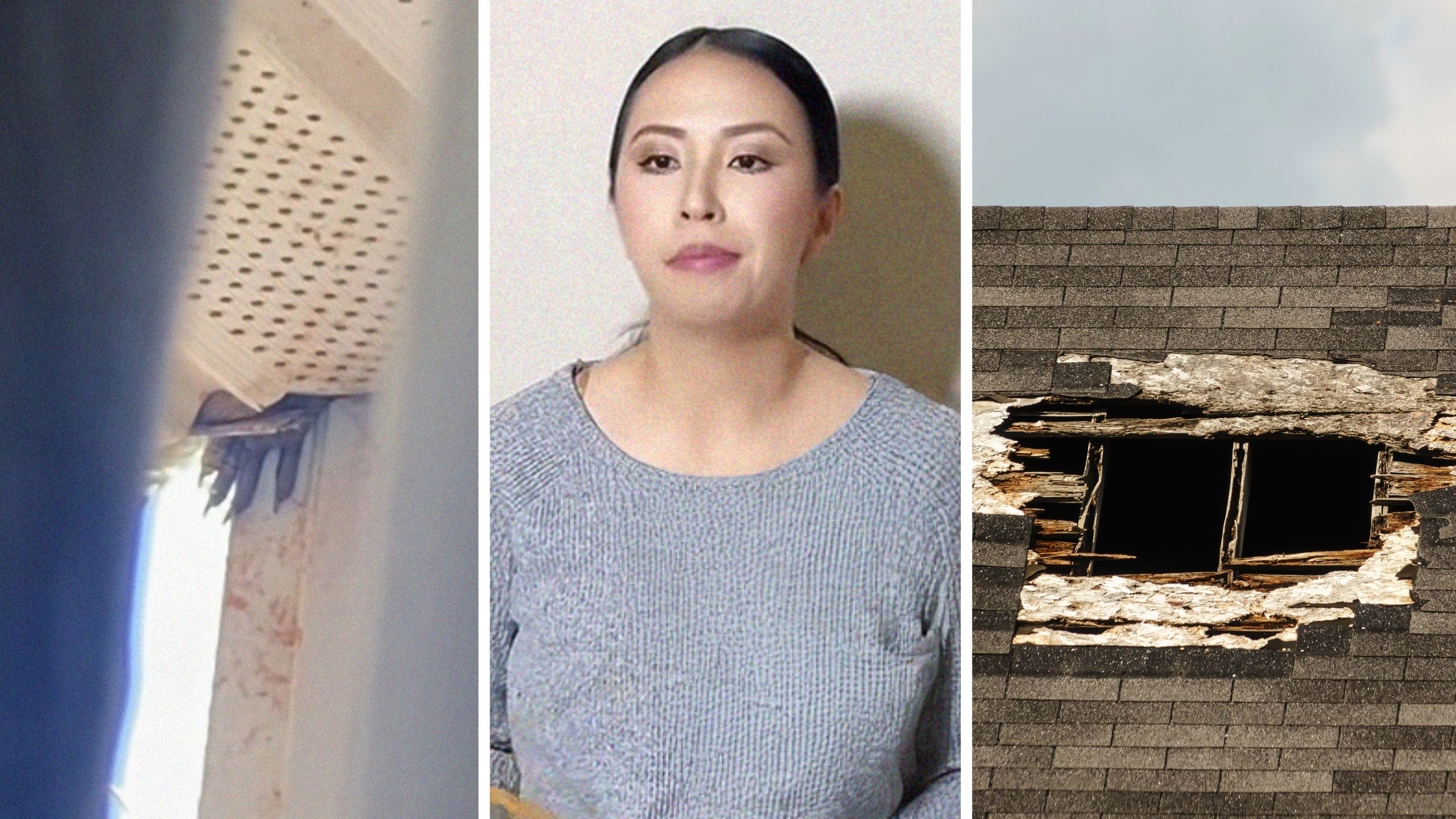 creature crawling out of roof (l) woman shares house issue (c) hole in roof (r)