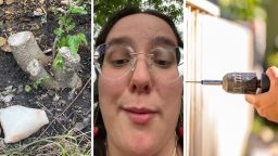 Oklahoma Woman Says Neighbors Built A ‘Friendly Fence.’ Then She Sees What They Did To Her Property: ‘Tree Law Is STRICT – Enjoy Your Thousands’