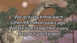 These Are The Internet’s 51 Best Memes (So Far) This Week