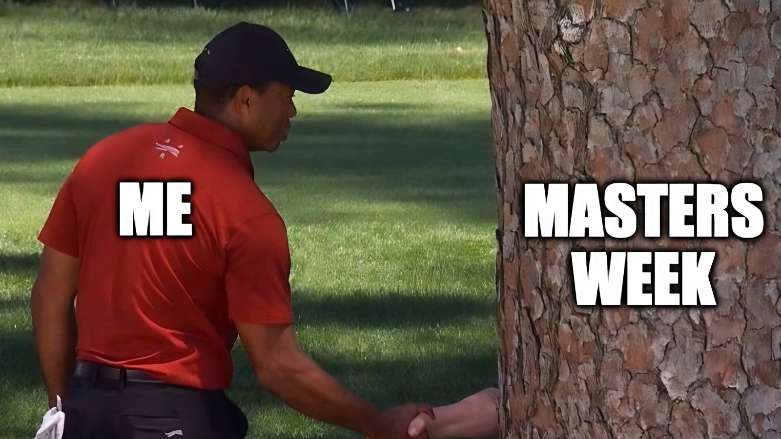 best Tiger Woods masters memes this week