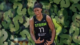 WNBA Veteran Mocks Middle Class Americans For Being Broke After 800% Pay Raise