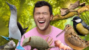 Funniest Animal Names