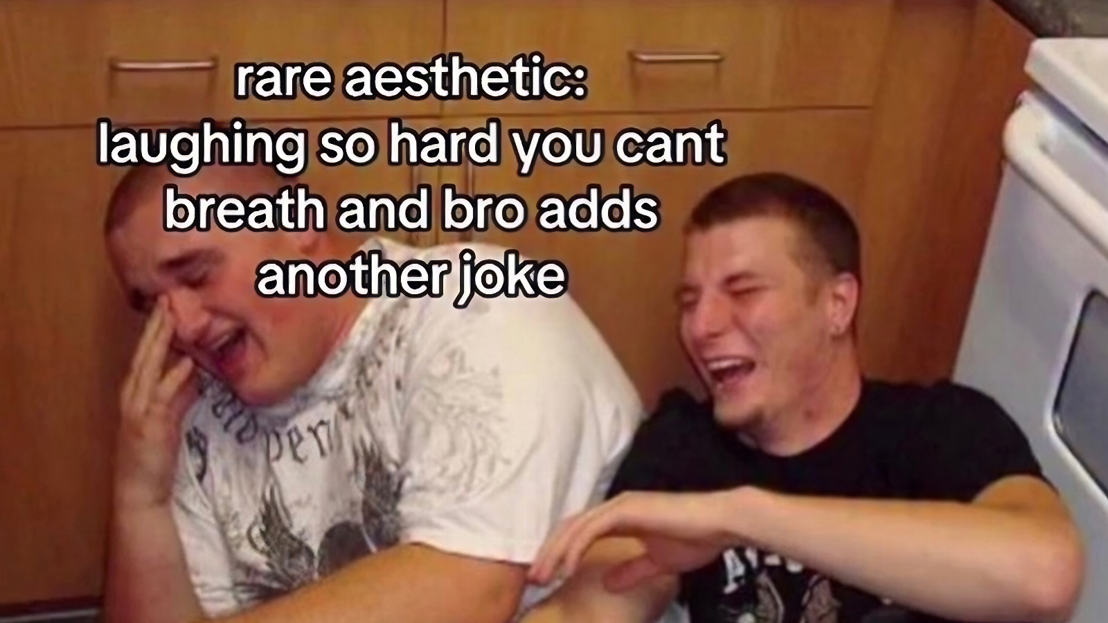 funniest meme rare aesthetic laughing