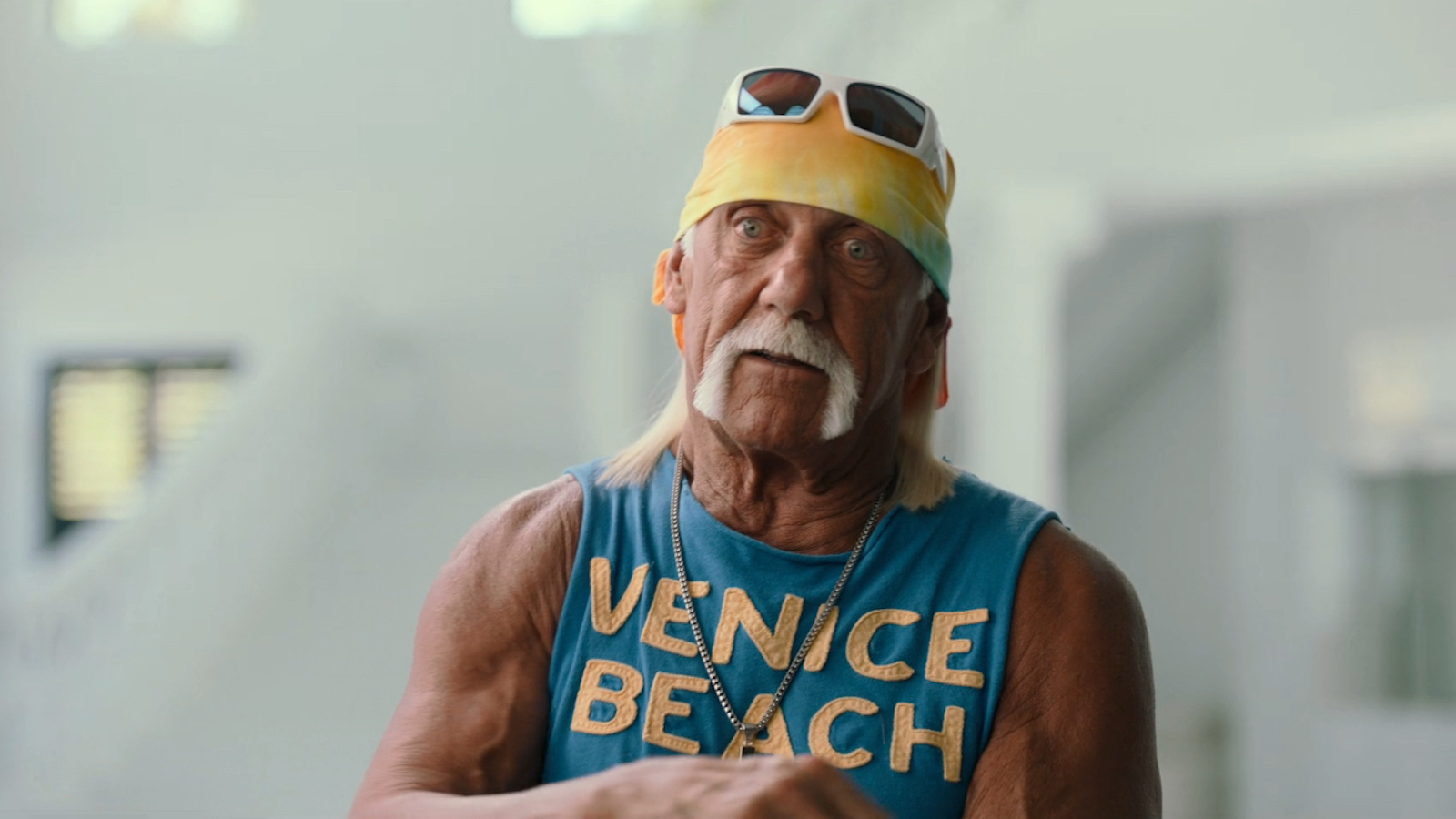 Hulk Hogan Addresses Racism in Final Interview