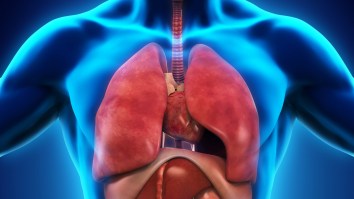 Biotech Startup Wants To Grow ‘Headless’ Human Bodies To Use In Scientific Testing, Organ Farming