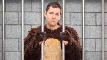 California Scammers Hit With Jail Time Over Bizarre Car Insurance Scheme Involving A Man In A Bear Suit
