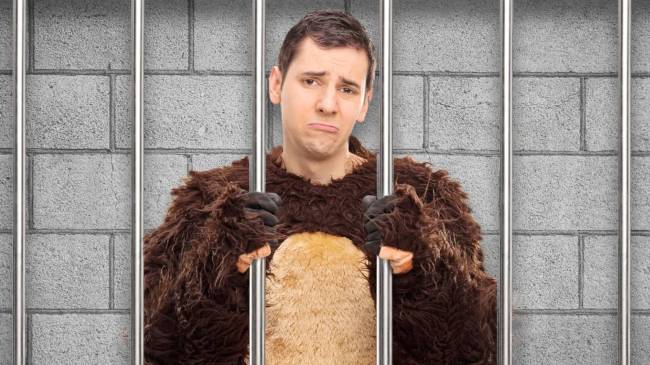 Man in bear costume in jail