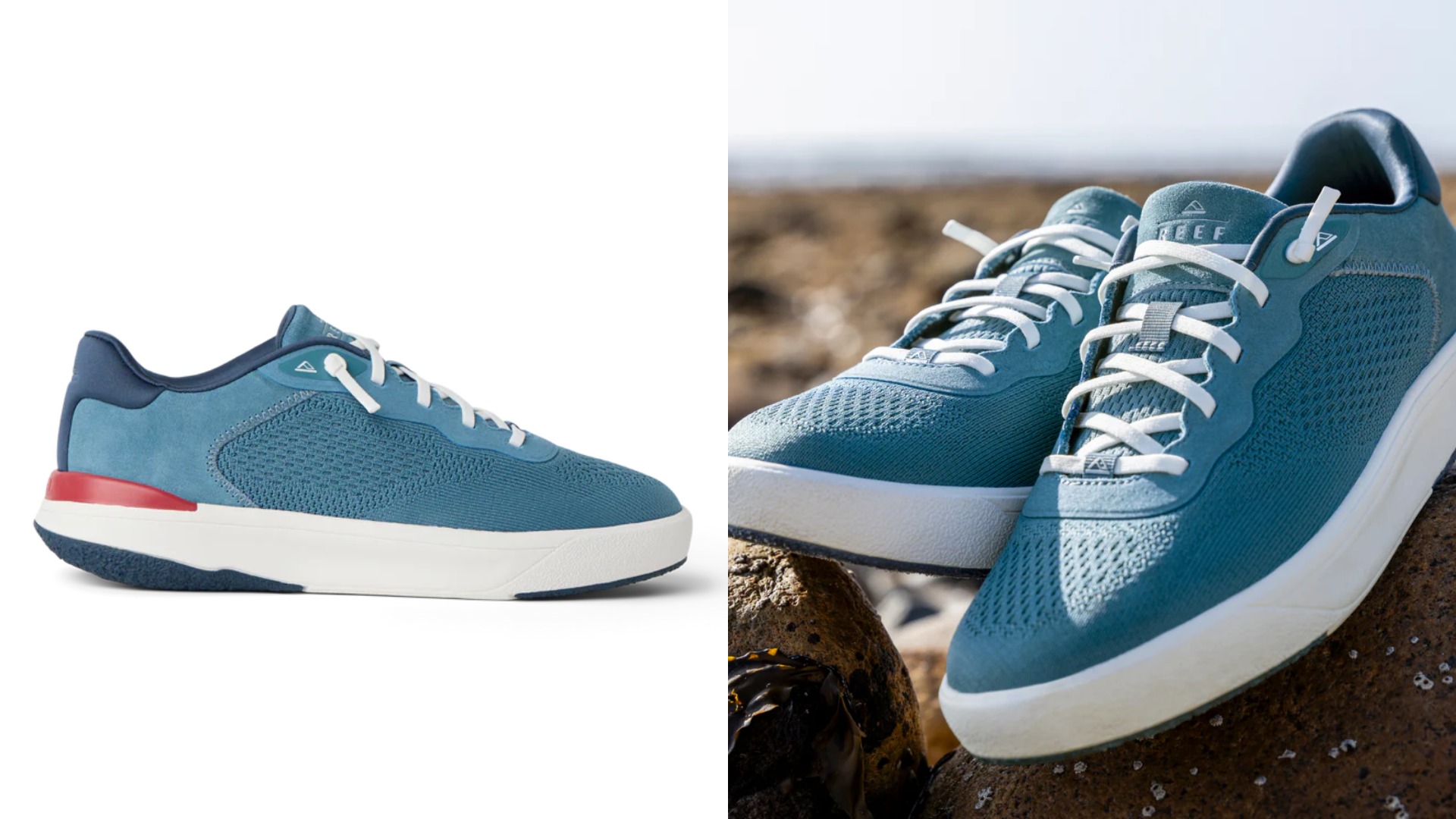 Reef Shoreline Del Mar 