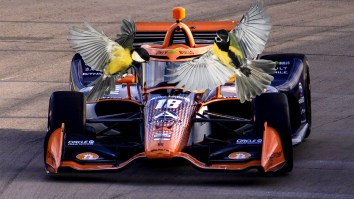 Romain Grosjean Had To Make An Emergency Pit Stop After Obliterating A Bird At 230 MPH During Indy 500 Practice