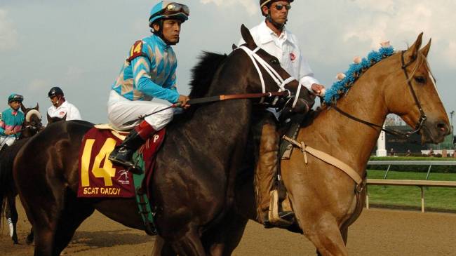 Scat Daddy at 2007 Kentucky Derby