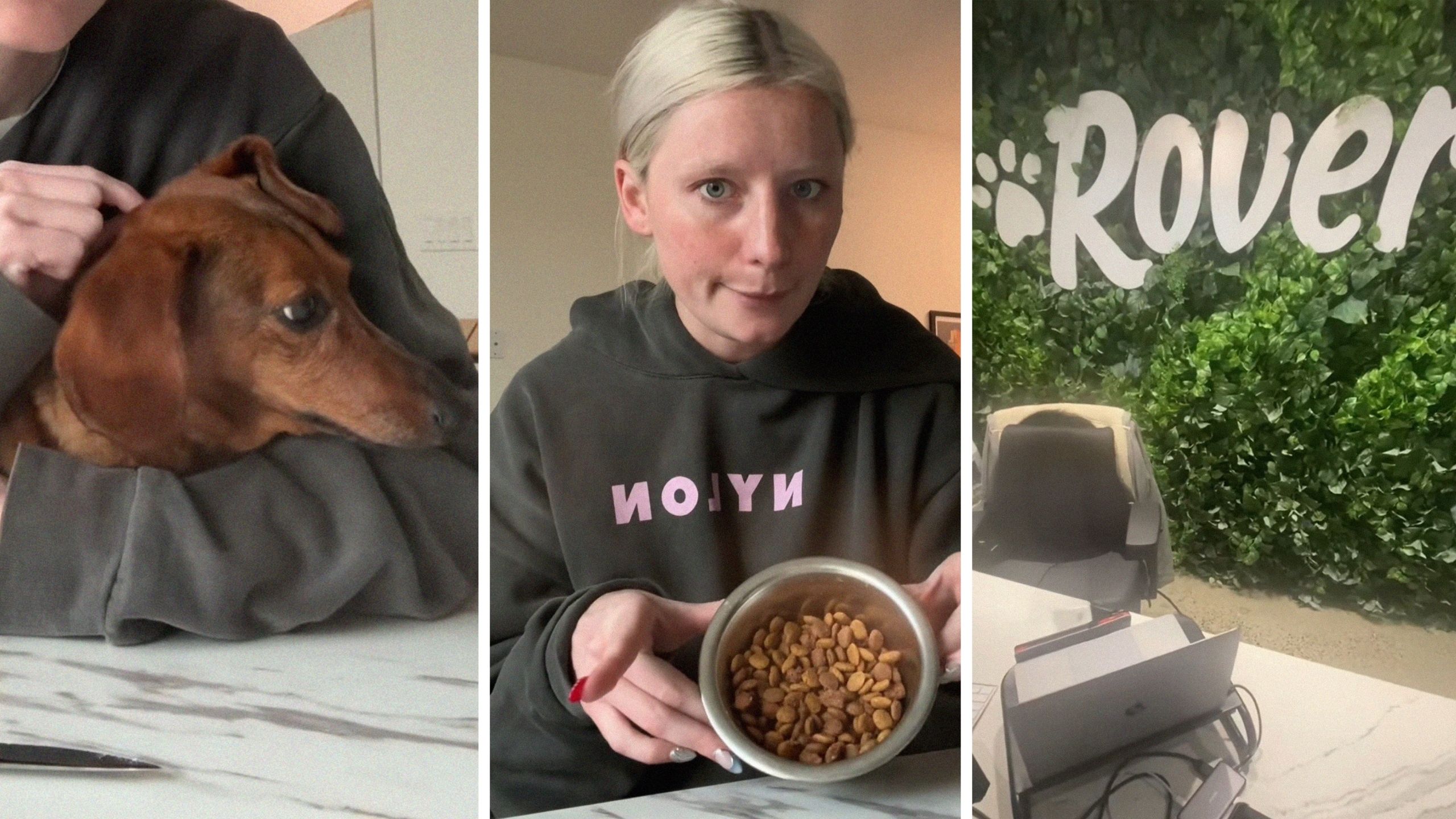 cute puppy (l) woman shares rover issue (c) Rover office (r)