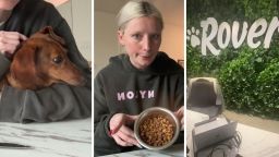 California Woman Catches Her Rover Sitter In A Lie After Spotting Her Dog Georgie In ‘Depression Corner’ On Security Cam: ‘SHES PLAYING W YOU’