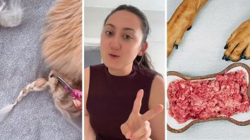 California Woman Starts Feeding Her Dog A Raw Food Diet. She Had No Idea The Consequences Would Be So Devastating: ‘I Never Knew’