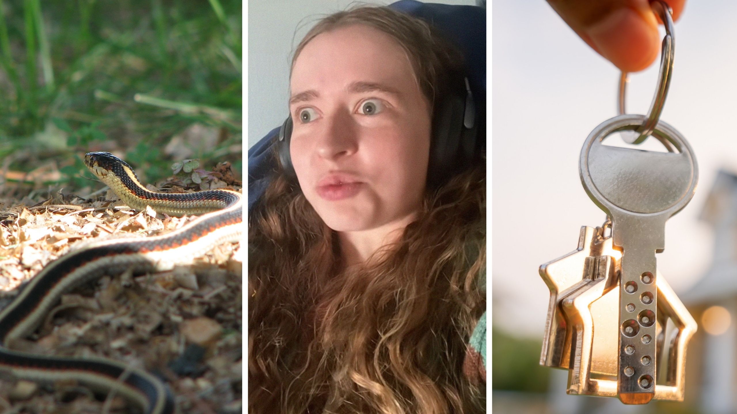 snake in the yard (l) woman shares childhood confession (c) keys to new home (r)