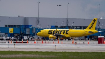 Long Lines At Michigan Airport As Spirit Airlines Cancels Flights Amid Shutdown Rumors