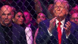 Dana White Worried About Gnats Ruining UFC White House Event