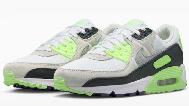 Air Max 90 Shoes