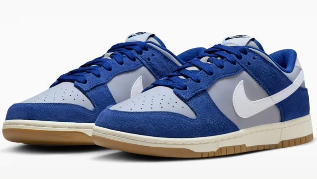 Nike Dunk Low Retro SE shoes on sale