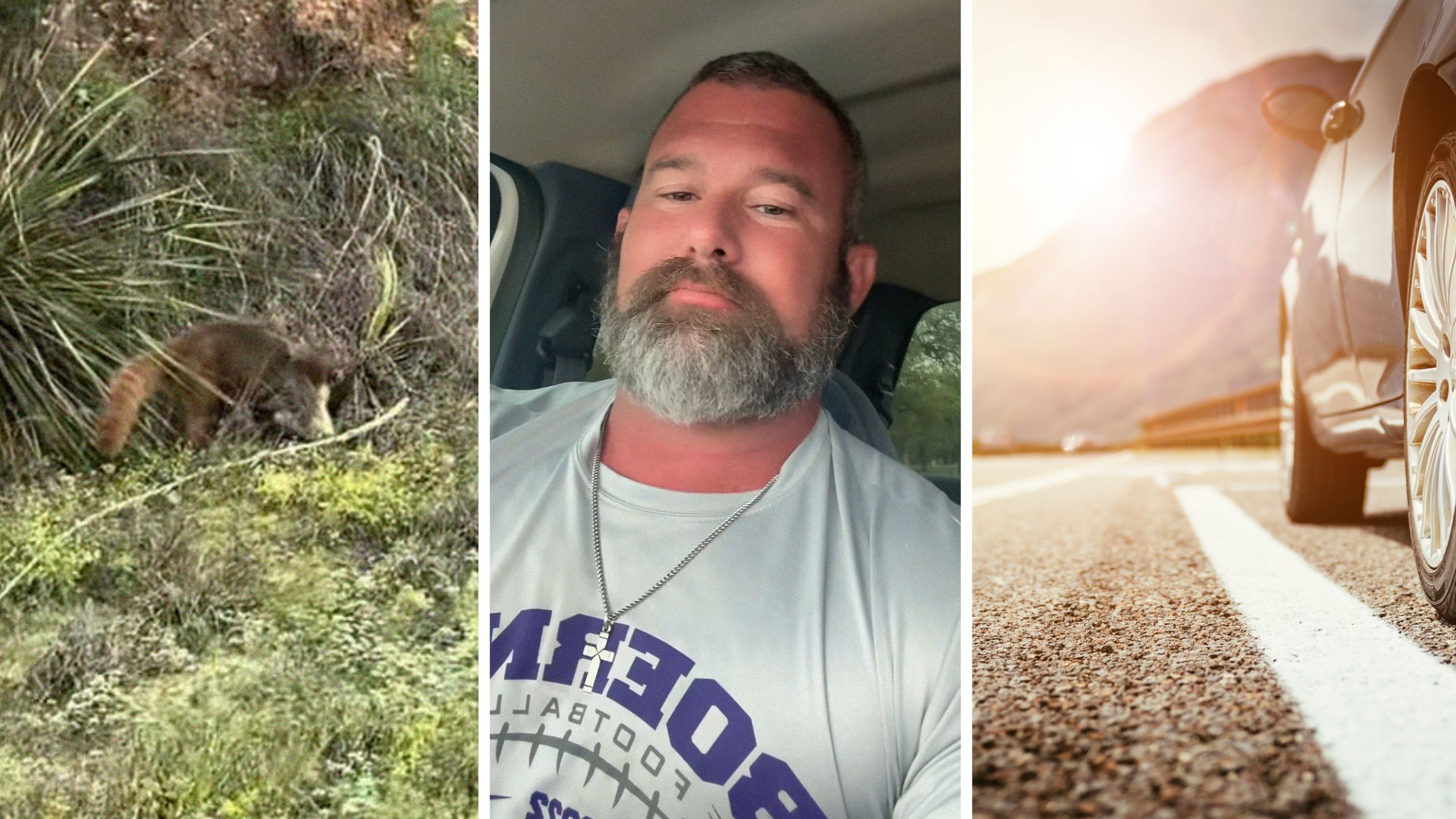 furry creature on side of the road (l) man shares road encounter (c) car parked on side of the road (r)