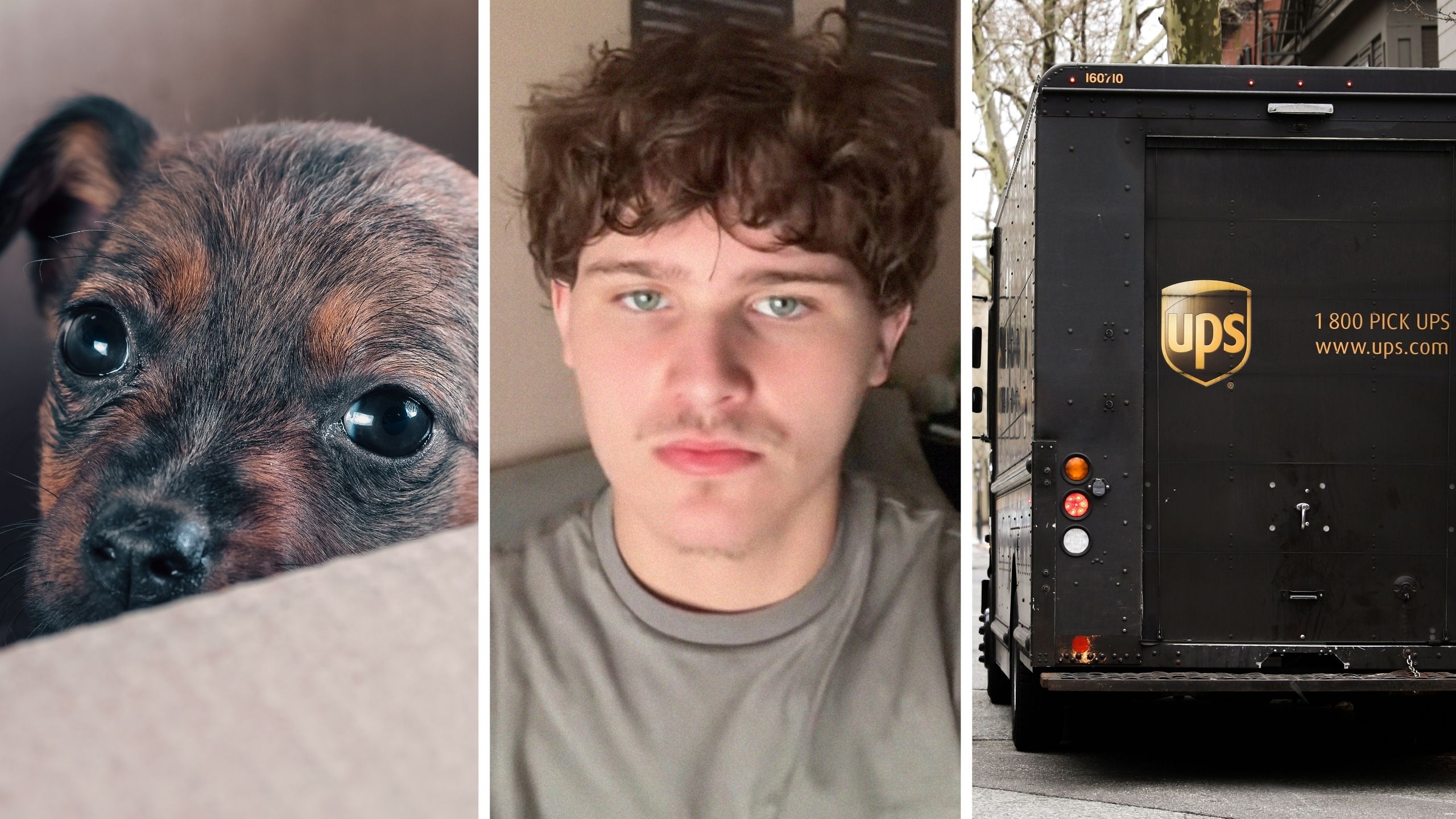 puppy in a box (l) UPS worker shares job issue (c) UPS delivery truck (r)