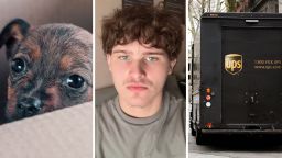 Man Says UPS Customer Tried Shipping A Dog In A Box. Uh, Really?: ‘I Am Going To Live On A Farm!!’