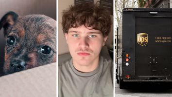 Man Says UPS Customer Tried Shipping A Dog In A Box. Uh, Really?: ‘I Am Going To Live On A Farm!!’