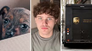 puppy in a box (l) UPS worker shares job issue (c) UPS delivery truck (r)