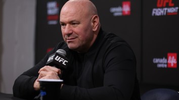 Dana White Worried About Gnats Ruining UFC White House Event