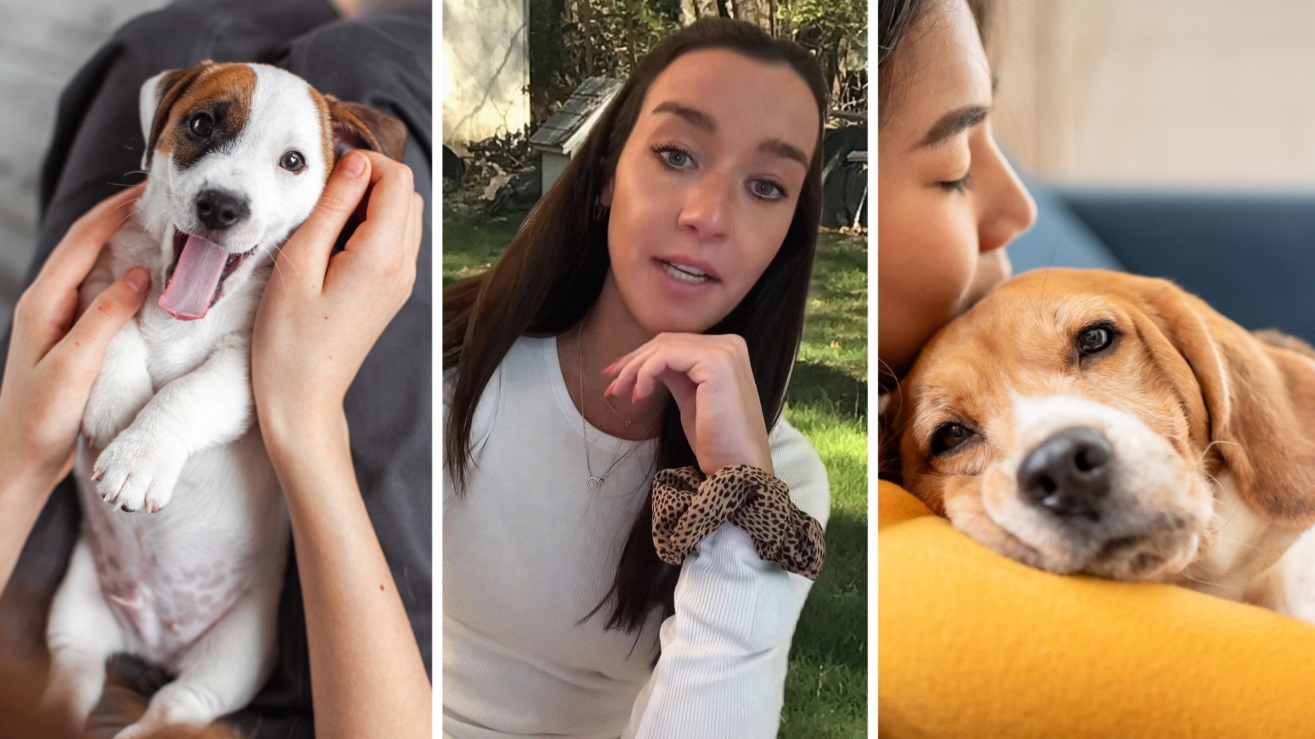 woman's small dog (l) woman shares her dogs growth story (c) womans fully grown dog (r)
