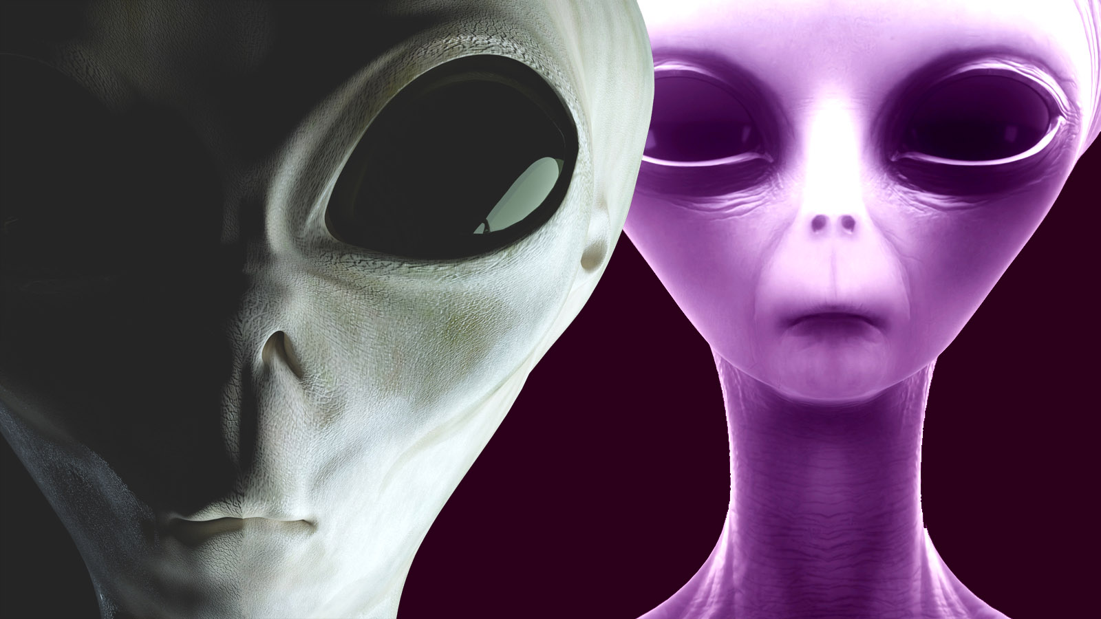 Ex-Government Researcher Claims Four Types of Alien Species Recovered Ex-Government Researcher Claims Four Types of Alien Species Recovered